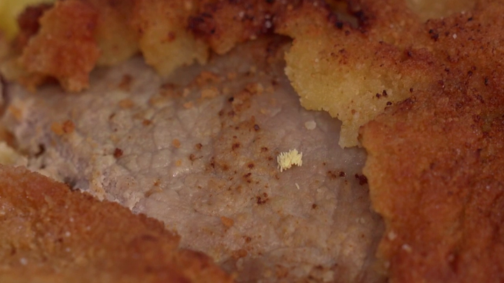 Bez servítky - teľací rezeň larvy